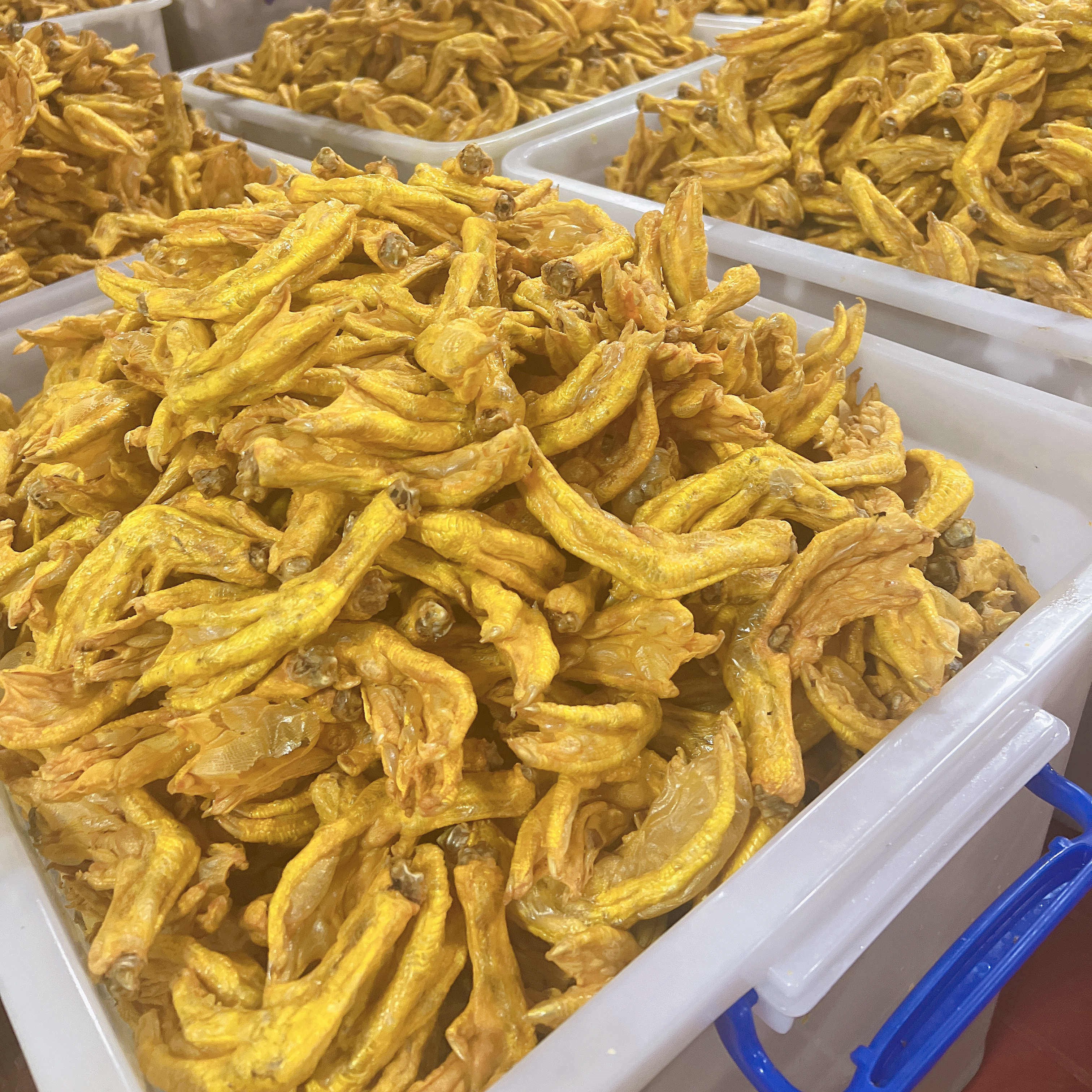 广西柳州油炸鸭脚螺蛳粉炸鸭掌带黄皮鸭脚半成品卤味田螺鸭脚煲 柳州炸鸭脚50个【中号】