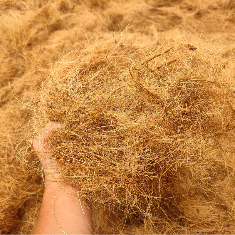 天然椰棕丝铺垫园艺花卉植物盆栽装饰花盆覆盖铺面石 椰丝5斤装