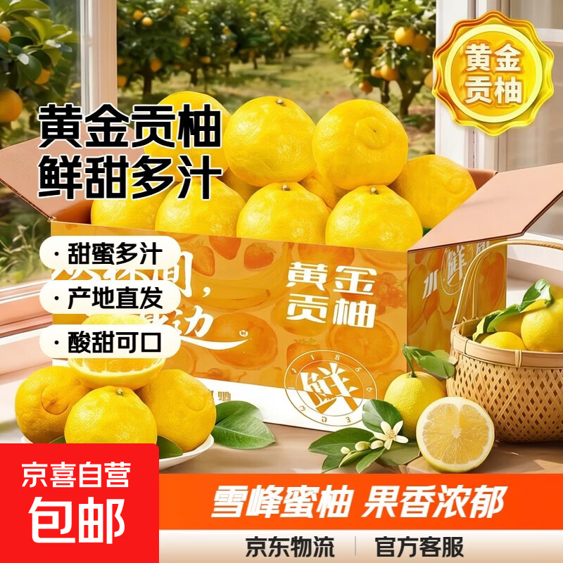 湖南怀化黔阳黄金贡柚春香桔柚新鲜象山青甜雪峰小柚子 带箱10斤净重9斤(单果80-85mm)