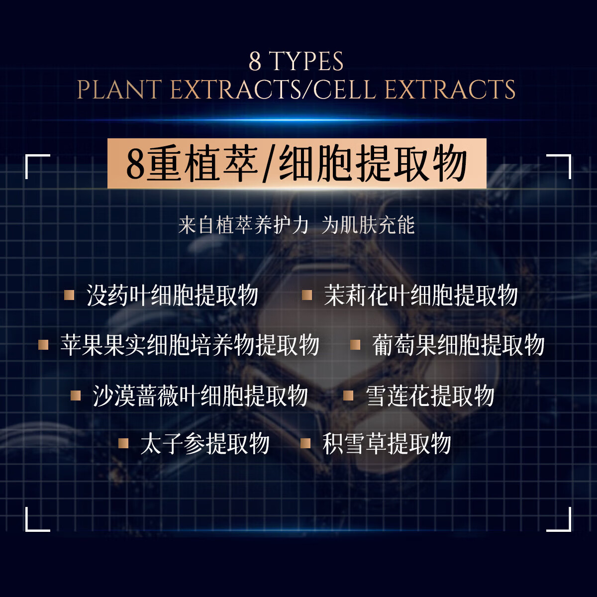 TJE英国TJE三环肽睡眠面膜熬夜免洗晚安柔养冻膜补水保湿紧致提亮 20片/盒