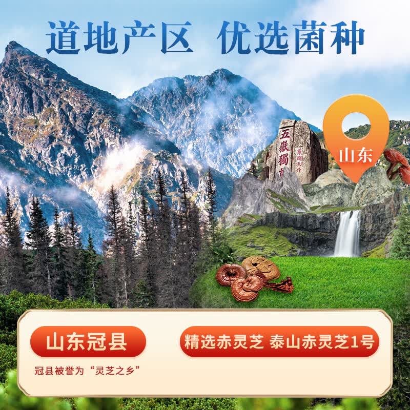 广誉远牌破壁灵芝孢子粉有助于增强免疫力22g蓝帽保健品礼品 1盒装【体验装】