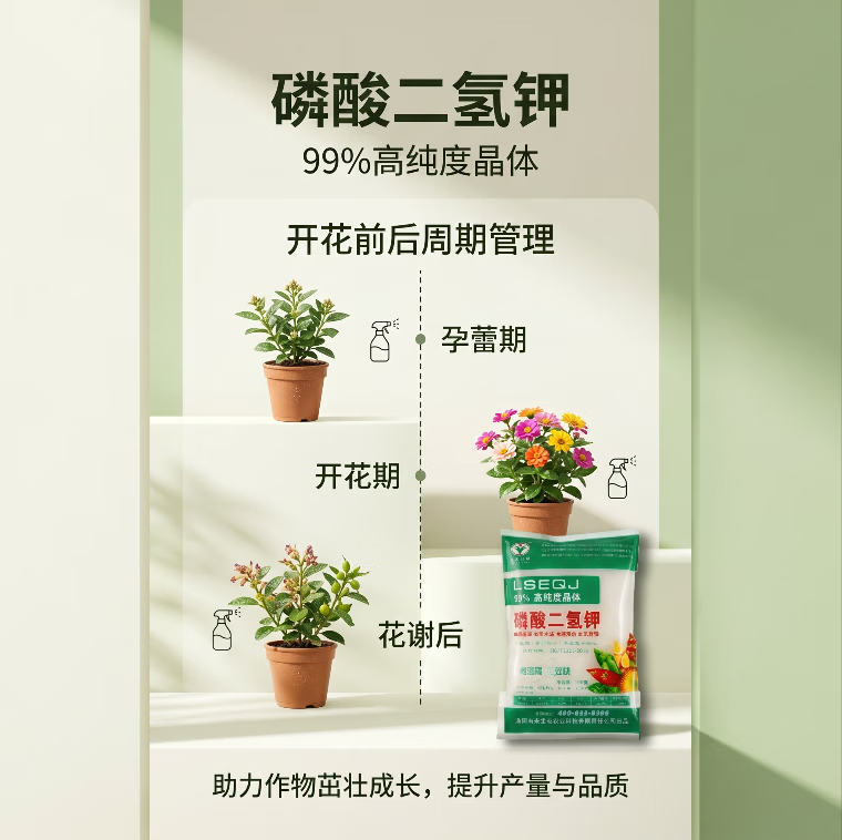 启禾科技磷酸二氢钾99%高纯度正品叶面肥水溶肥花卉瓜果蔬菜盆栽绿植通用 磷酸二氢钾98%高纯度400g*2 高纯度磷酸二氢钾正品保障
