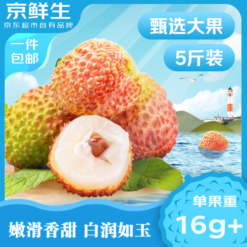 京鲜生海南妃子笑荔枝净重5斤装 单果18g+ 新鲜水果 包邮