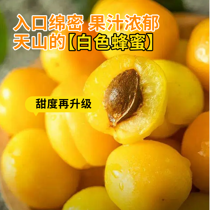 新疆小白杏轮台新鲜水果库车白杏子甜杏特产当季整箱胜小红杏 轮台小白杏3.5斤