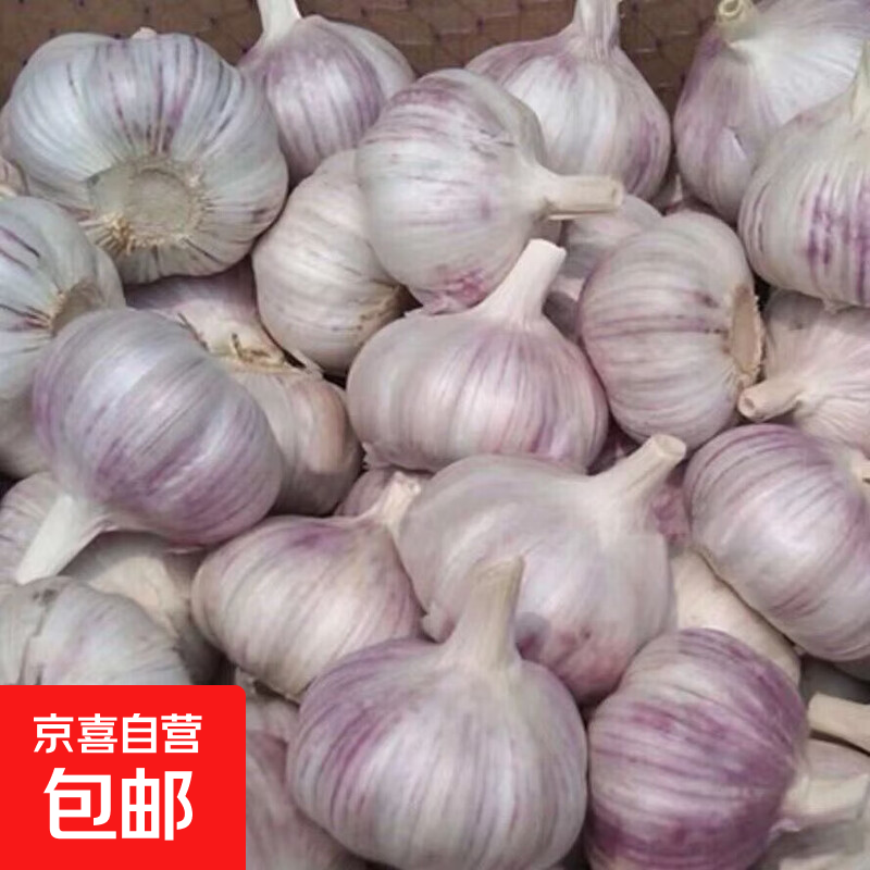 紫皮大蒜特大干蒜今年新蒜超市品质蔬菜整箱批发（4-5.5公分） 重量 河南大蒜带箱1斤（净重0.9斤）
