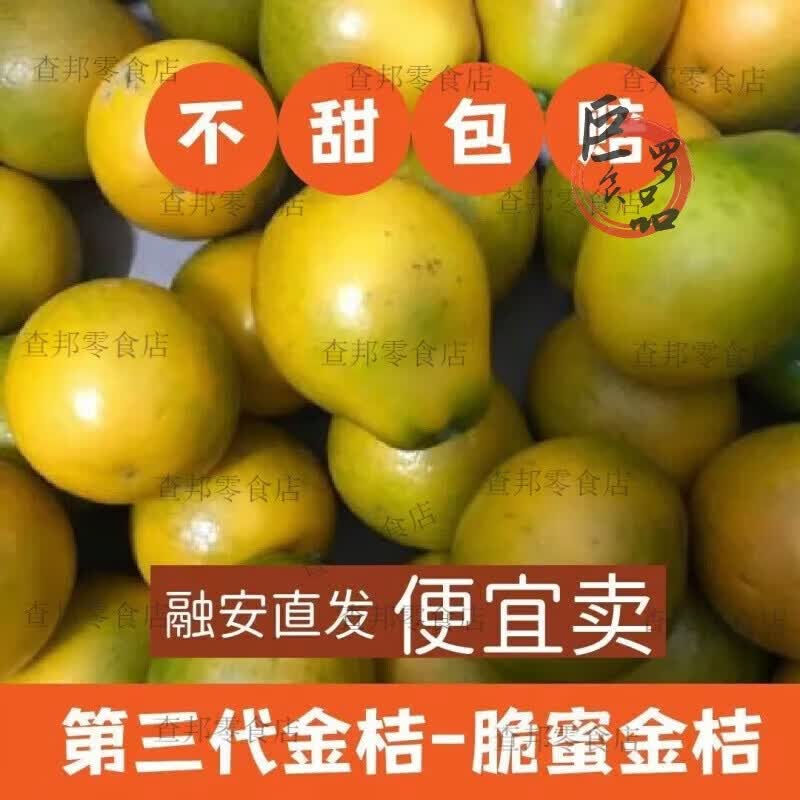 脆蜜金桔金柑第三代广西融安脆皮金桔当季新鲜水果花果无籽纯甜 2.5斤 脆蜜金桔花果[小小果][60个左右/