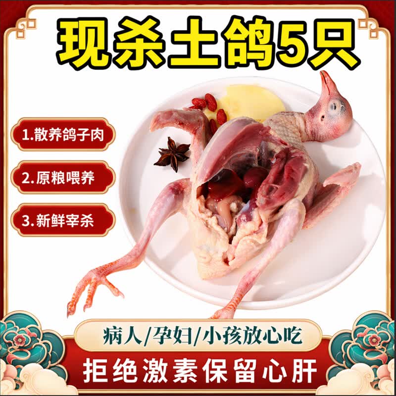 鸽子肉新鲜现杀农家散养乳鸽五年老鸽子鸽子现杀新鲜三年老鸽子 2250g(5只装老鸽子0.9-1斤) 农家散养乳鸽(顺丰包邮)