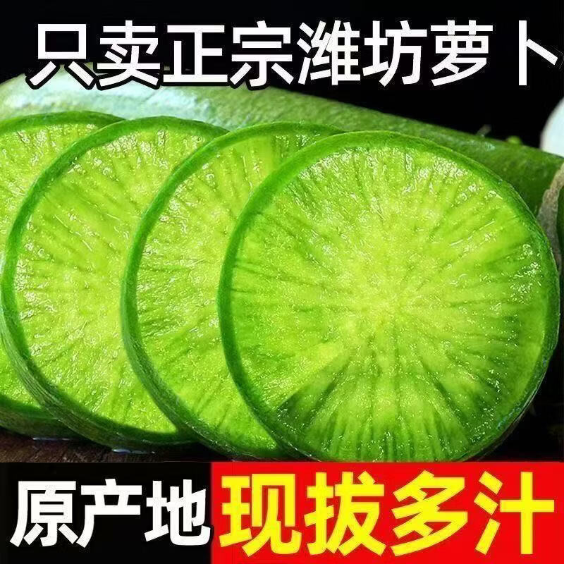 臻菜嫂潍坊水果萝卜生吃新鲜正宗山东潍县脆甜青萝卜现货直发水果萝卜 青萝卜5斤