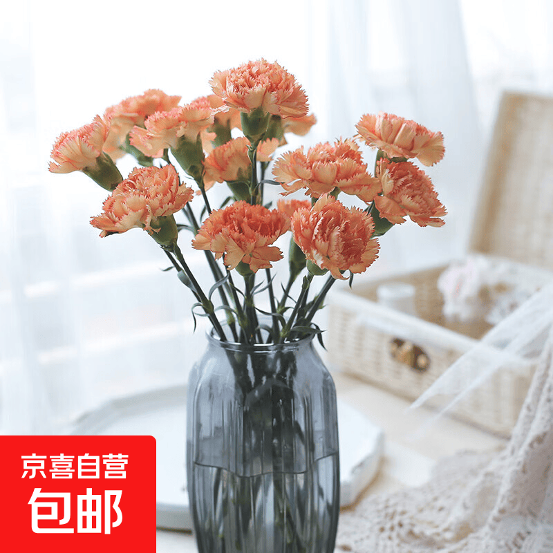 康乃馨鲜花送妈妈礼物母亲节鲜切花基地直发2 康乃馨10枝随机色