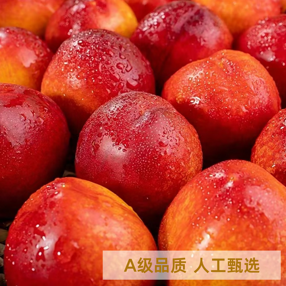 薏品甄鲜山东聊城油桃 新鲜头茬桃子 当季应季水果 脆甜多汁 源头直发 净重3斤【单果60g+】