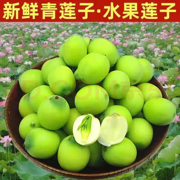 现剥嫩莲子江西瑞金红土地白莲新鲜嫩绿壳生吃孕妇鲜水果新鲜采摘 1斤带壳鲜莲