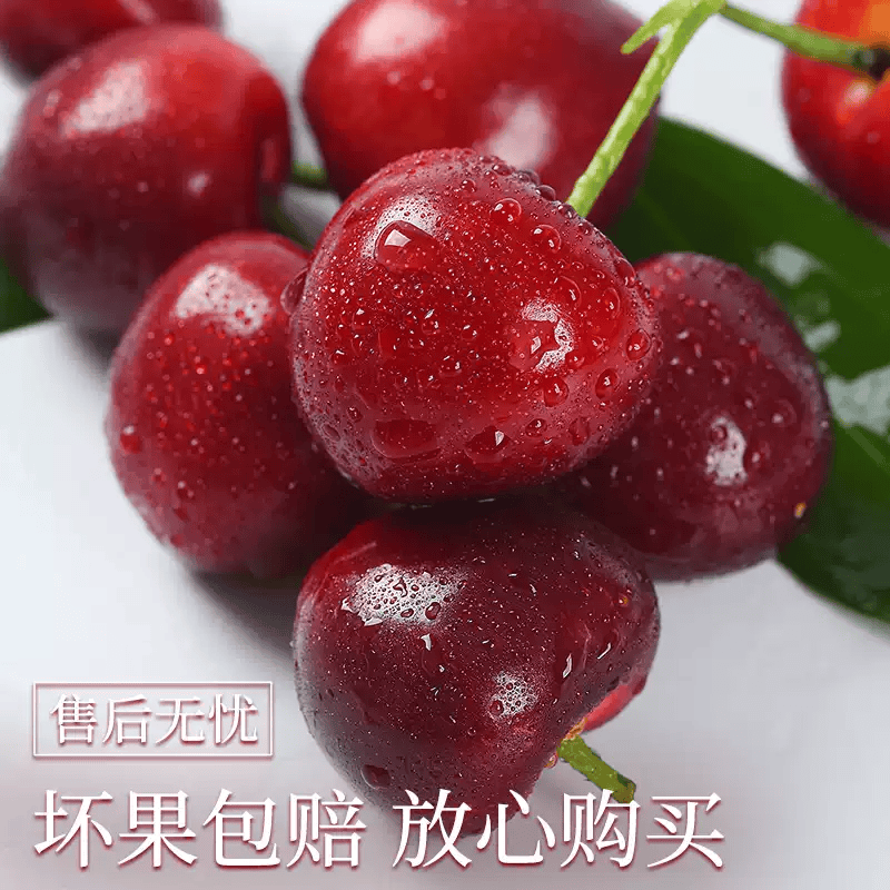 东鲜丰山东大樱桃国产车厘子 孕妇新鲜水果大樱桃水果礼盒组合整箱送礼 3斤丨朋友分享 实惠装果径22-26mm
