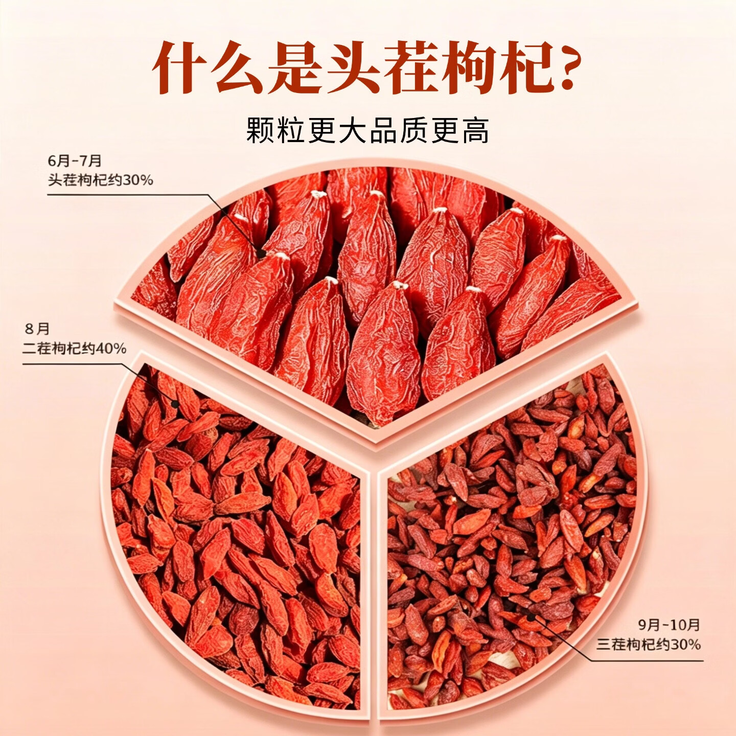 朕熙堂正宗宁夏中宁红枸杞特优级头茬大果枸杞免洗无硫泡水煲汤养生 【头茬特优大果】枸杞 250克*1袋