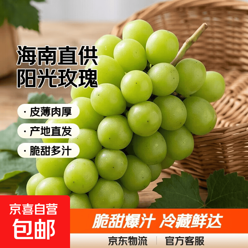 海南阳光玫瑰青提 葡萄提子生鲜水果 阳光玫瑰 带箱4斤10克+净重3-3.5斤