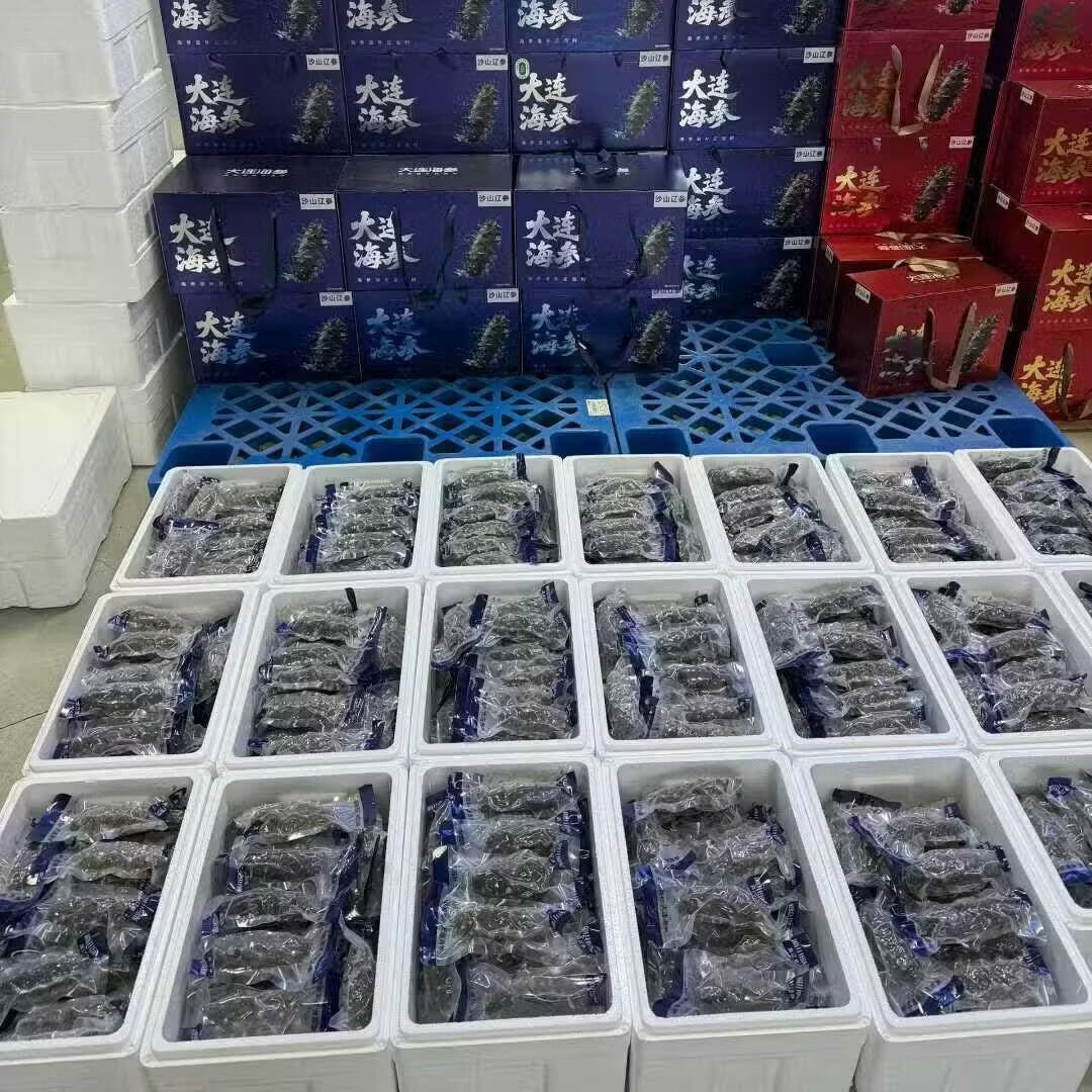 辽参底播即食海参大连海参独立包装鲜食海参生鲜食材底播海参 鲜食【1斤】12-15只