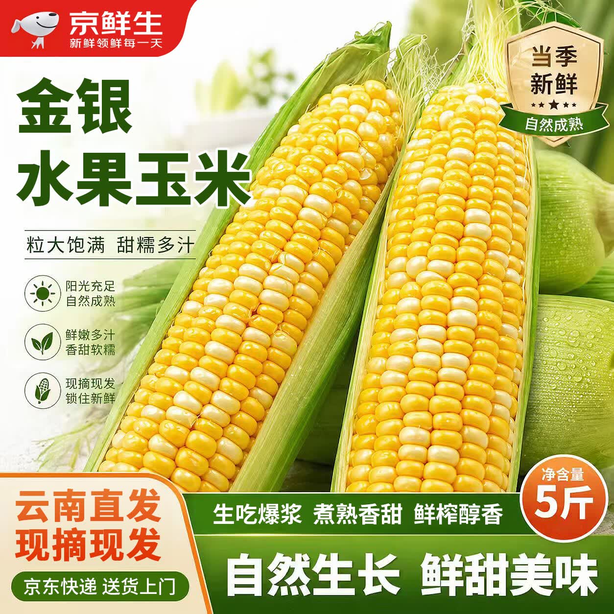 京鲜生 云南金银水果甜玉米净重5斤单果350g+ 鲜甜玉米棒 源头直发
