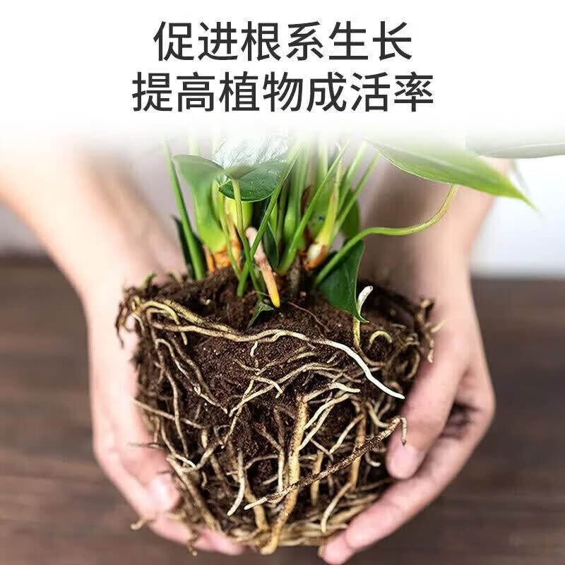 漫生活柠檬树专用土香水柠檬专用营养土绿植盆栽有机种植土泥炭土专用肥 柠檬树专用营养土50L