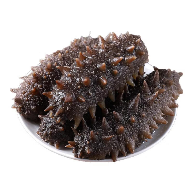 典品堂金汤鲍鱼花胶鸡加热即食营养滋补深海花胶花胶鸡年货礼盒送礼 即食海参10根(8-10cm/只)
