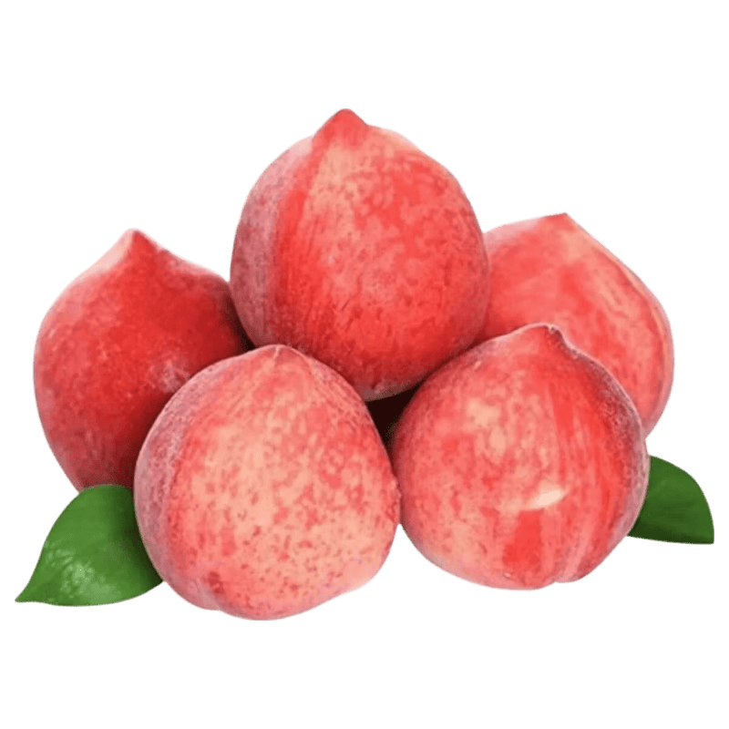 Ԥ6��5�գ�����ë�� 5�����4.5��+�� С�� ����1��-2��11.98Ԫ