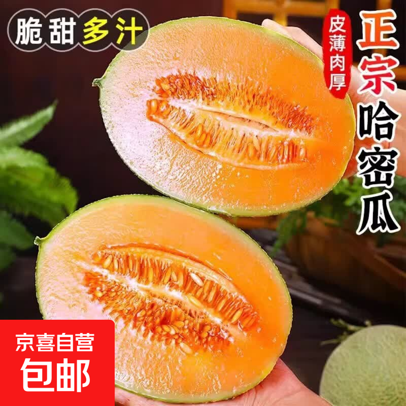 哈密瓜新鲜现摘蜜瓜果园直发当季应季新鲜水果多产区发货 带箱2斤（1个装单瓜600g以上）