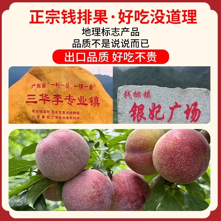信宜钱排银妃级2斤装三华李红心甜辣酸脆(脆:冷藏;甜:常温) 净重2斤(尝鲜装贵在运费) 大果(一斤15个左右)