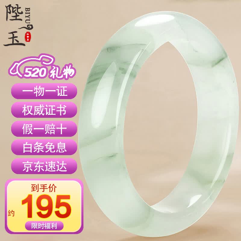 陛玉【520礼物】玉手镯天山翠飘绿玉镯子附鉴定证书 58-59圈口