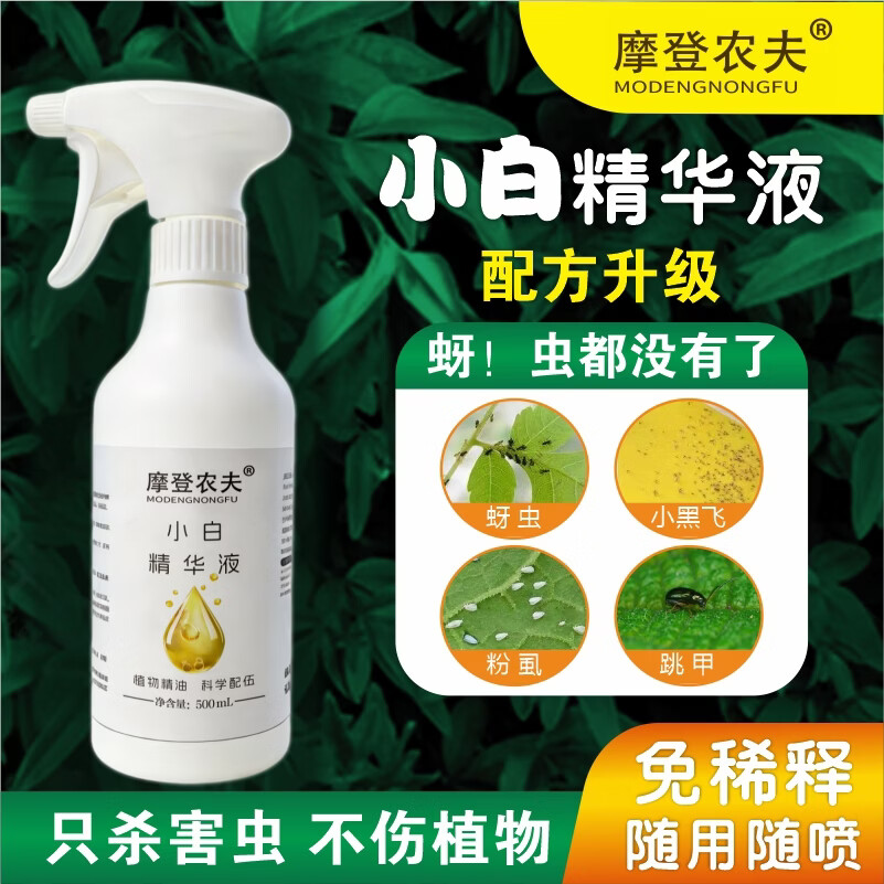 摩登农夫小白月季玫瑰小黑飞天然食用香辛料原料幼宠安全 500ml