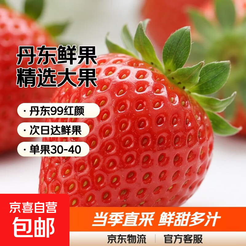 丹东99草莓【JD快递-多地】红颜奶油草莓当季新鲜送礼品物1 畅享3斤装丨净重2.5斤 精选果丨单果20-30g