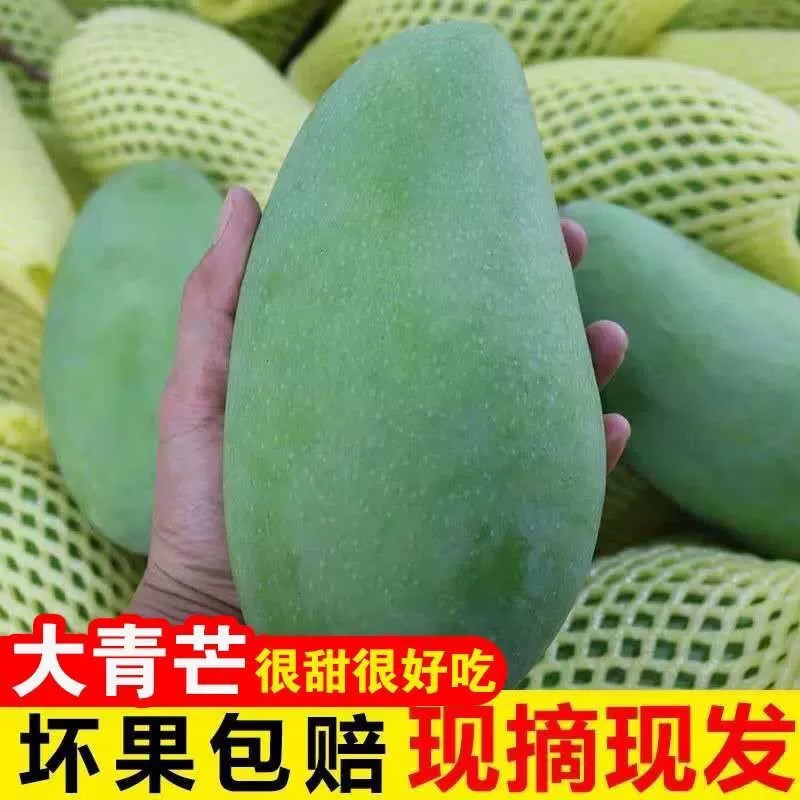 ������������ϴ���â��ժ��Ƥ���â�����췢������â�����и�ʱ��ˮ�� 5��ڸ�����-������400g+������4.5�� 16.8Ԫ