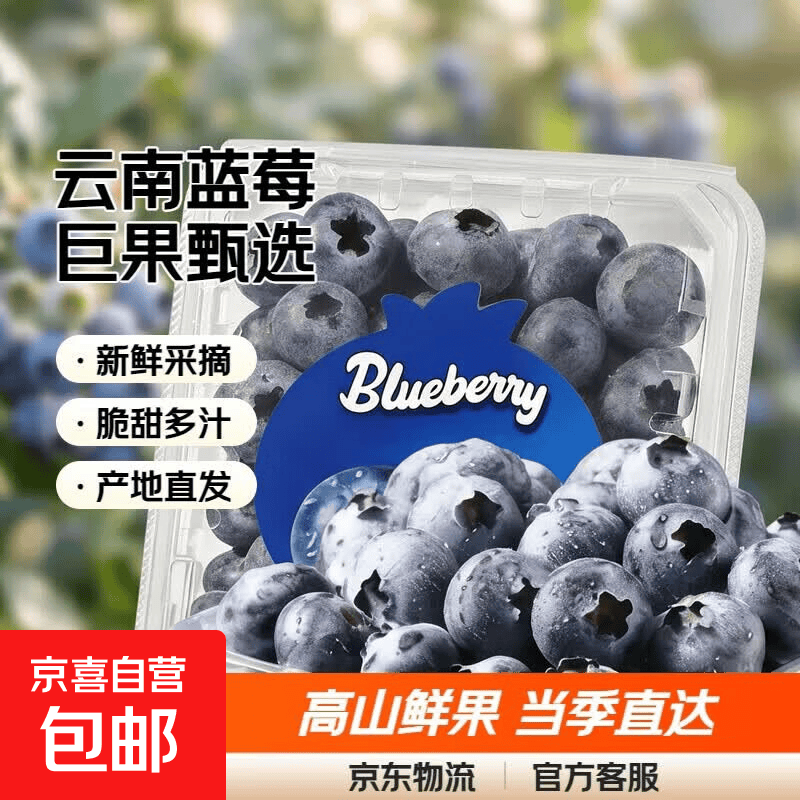 云南蓝莓礼盒装鲜果新鲜水果超大果巨无霸高山花香蓝梅应当季整箱 1盒-JD直达【100g/盒】 精品果【单果15mm+】