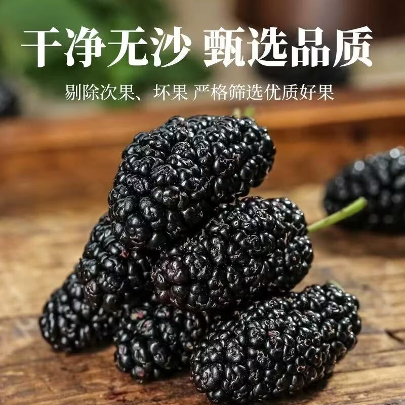 同仁堂(TRT)桑葚干黑桑椹特级大果无沙黑桑葚中药材新疆正宗一级泡水泡茶泡酒 桑葚干 220g*4罐 含罐装
