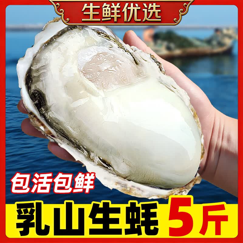 缤鲜 特大现捕乳山生蚝鲜活海蛎子净5斤带箱海鲜超大牡蛎贝壳即食水产 4XL【约9-12只】