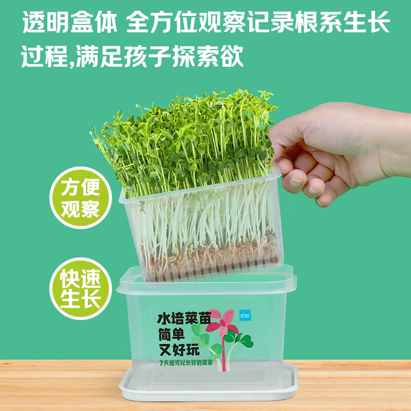 匠心绽放水培菜种植套装儿童小盆栽幼儿园DIY植物根系科学实验观察豌豆