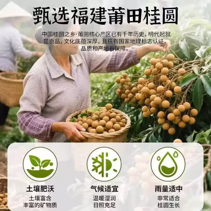 同仁堂(TRT)2026新货高州特优9A级无核桂圆干500g龙眼肉干桂圆肉去皮气血泡水 无核桂圆干 250g*3罐