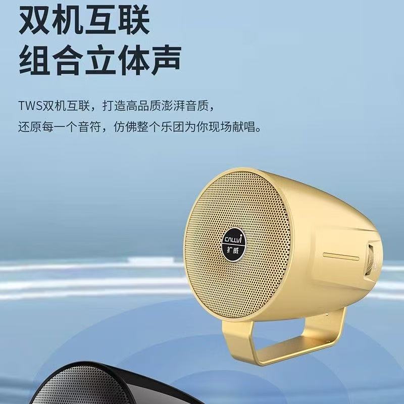 扩威(callvi)CallVi扩威X20无线手持乐器音响 户外唱歌K歌教师老师导游小蜜峰扩音器 蓝牙5.3无线耳麦茶杯音箱 金色+无线耳麦 蓝牙版