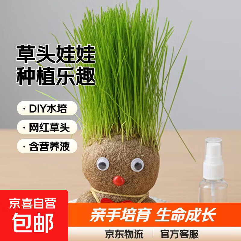 DIY水培长草娃娃头长草盆栽种植上儿童种草幼儿园网红草头娃娃 1个草头娃娃+1塑料托/送1营养液
