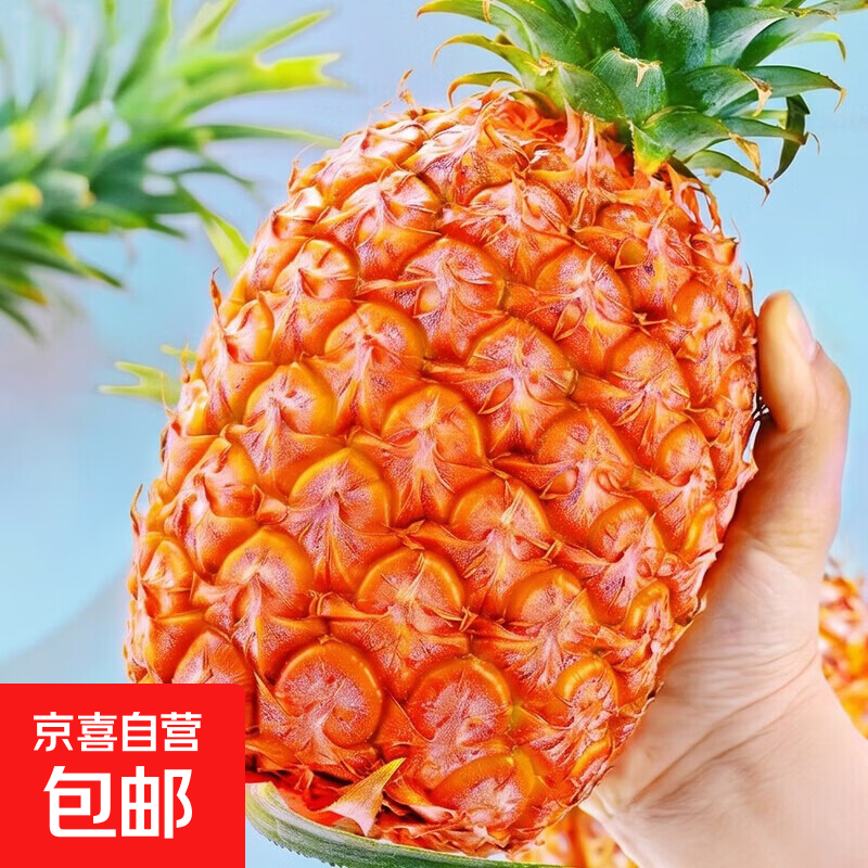 海南金钻凤梨新鲜现摘甜水果即食天地盖礼品盒5斤装整箱批发包邮 单果1.3-1.9斤 1粒