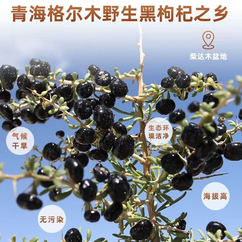 南京同仁堂胖东来同款正宗宁夏黑枸杞子特级野生无硫免洗大果肝肾滋补养生茶 宁夏黑枸杞 200g*2罐