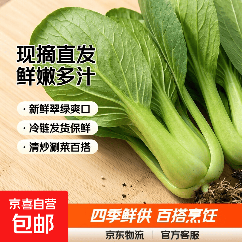 山东大棚四季种植小油菜青菜蔬菜新鲜绿叶菜现摘油菜香菇炝锅清炒 5斤 优选现摘小油菜【泡沫箱发货】
