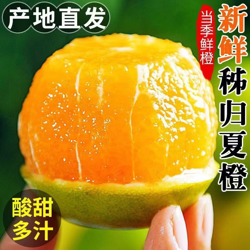 您家橙湖北秭归夏橙当季新鲜橙子现摘手剥甜橙孕妇水果酸甜多汁 秭归夏橙净重4.5斤101g