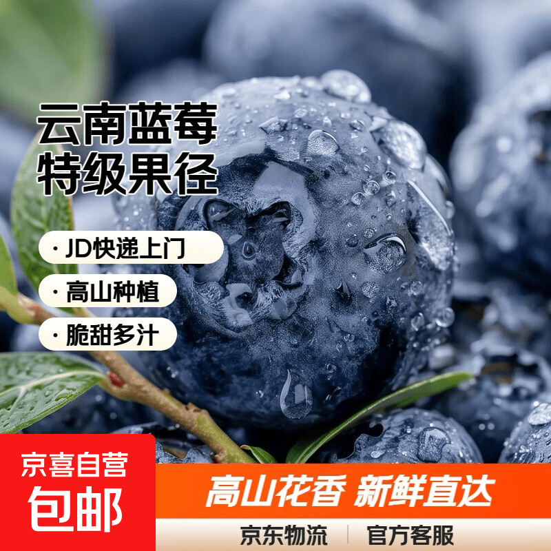 云南蓝莓【JD快递-多地发货】蓝莓新鲜超大高山花香果水果送礼 特级果【单果18mm+】 4盒 越多越划算【100g-125g/盒】