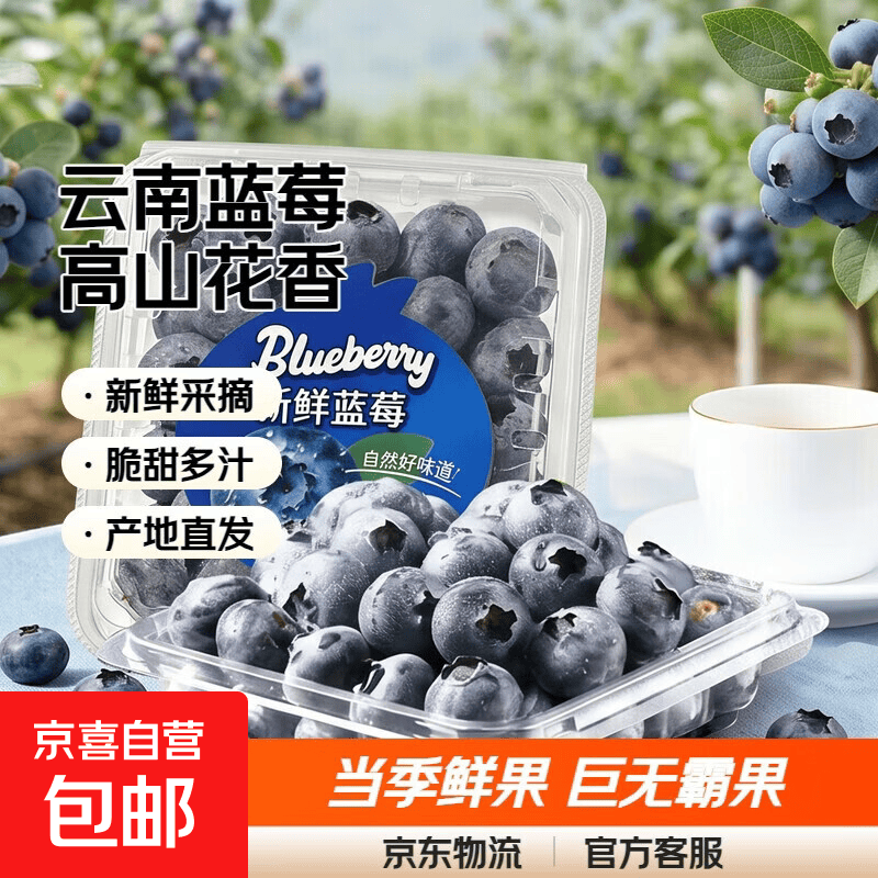 云南蓝莓礼盒装鲜果新鲜水果超大果巨无霸高山花香蓝梅应当季整箱 2盒-JD直达【100g/盒】 精品果【单果15mm+】