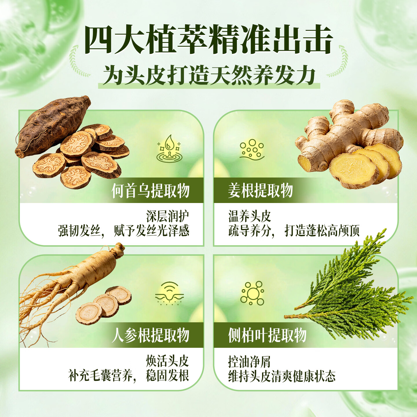 丝影国妆特证植物防脱洗发水掉断固发养发控油蓬松防脱精华液2大瓶 植物防脱洗发水500ml*2瓶