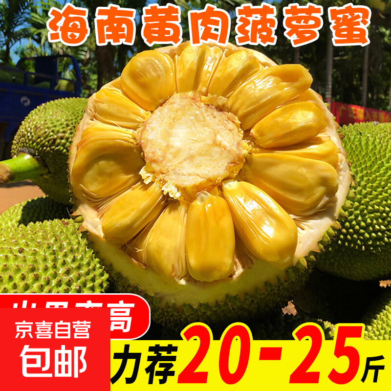 黄肉菠萝蜜净15-20斤 49.9元 - 线报酷