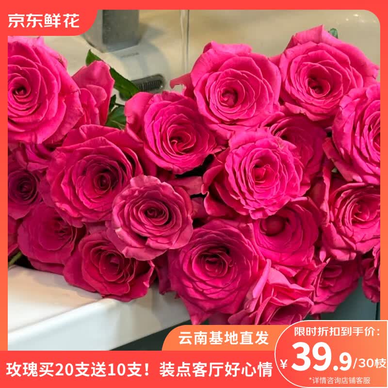 京东鲜花随机玫瑰30枝40cm起鲜切花情人节节日礼物基地源头直发