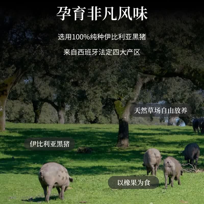 意萨米苏伊比利亚黑标火腿切片50g 西班牙进口橡果黑猪手工薄切火腿片即食 22_塞拉诺火腿切片50g_10包
