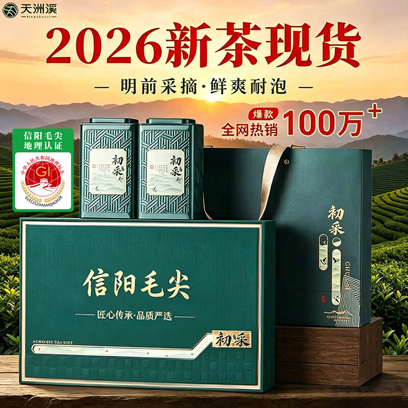 天洲溪信阳毛尖茶叶2026新茶250g头采嫩芽春茶高端礼盒装送教师节礼物