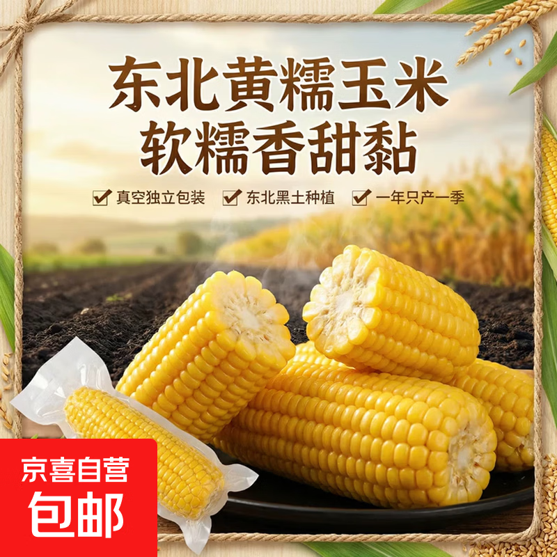 东北黄糯玉米大棒头茬甜玉米软糯香甜低脂减脂健康早餐非即食粗粮 黄糯玉米220g*10支