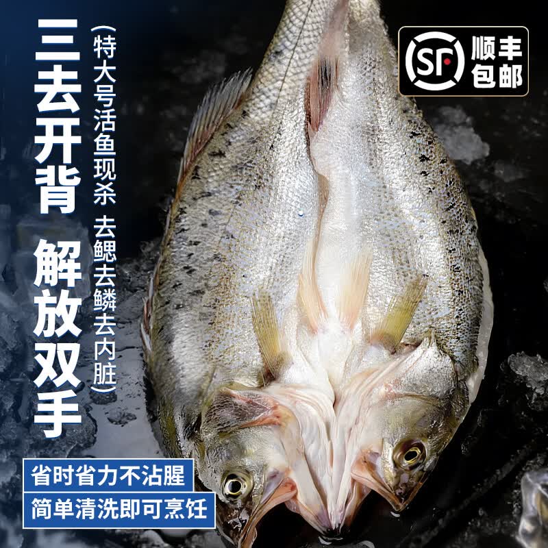 潮夫道开背海鲈鱼 三去免处理无抗生素刺少肉厚海捕海鲜水产鱼类生鲜 海鲈鱼2条装(400-500g/条)