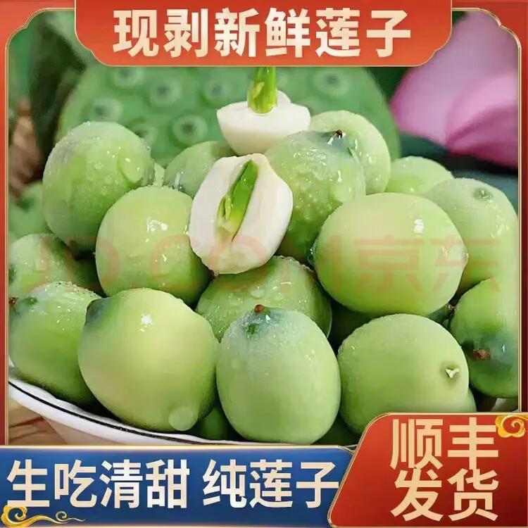 现剥嫩莲子江西瑞金红土地白莲新鲜嫩绿壳生吃孕妇鲜水果新鲜采摘 1斤带壳鲜莲